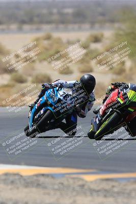 media/May-14-2023-SoCal Trackdays (Sun) [[024eb53b40]]/Turn 5 Tree of Life (1125am)/